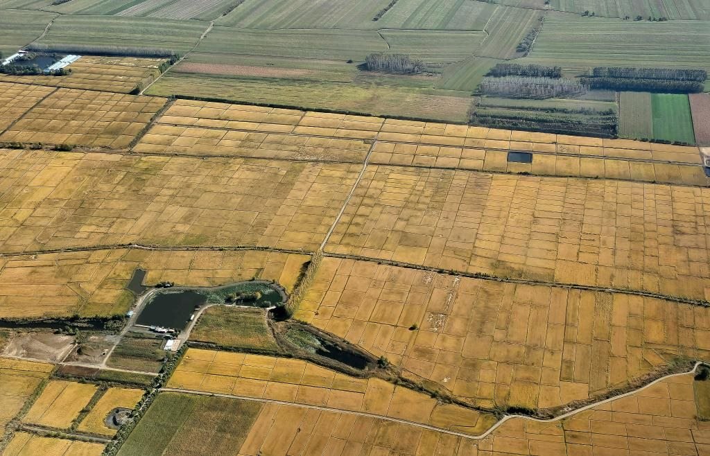 俯瞰黑龍江省哈爾濱市一處稻田（10月2日攝，無(wú)人機(jī)照片）。新華社記者 孫曉宇 攝