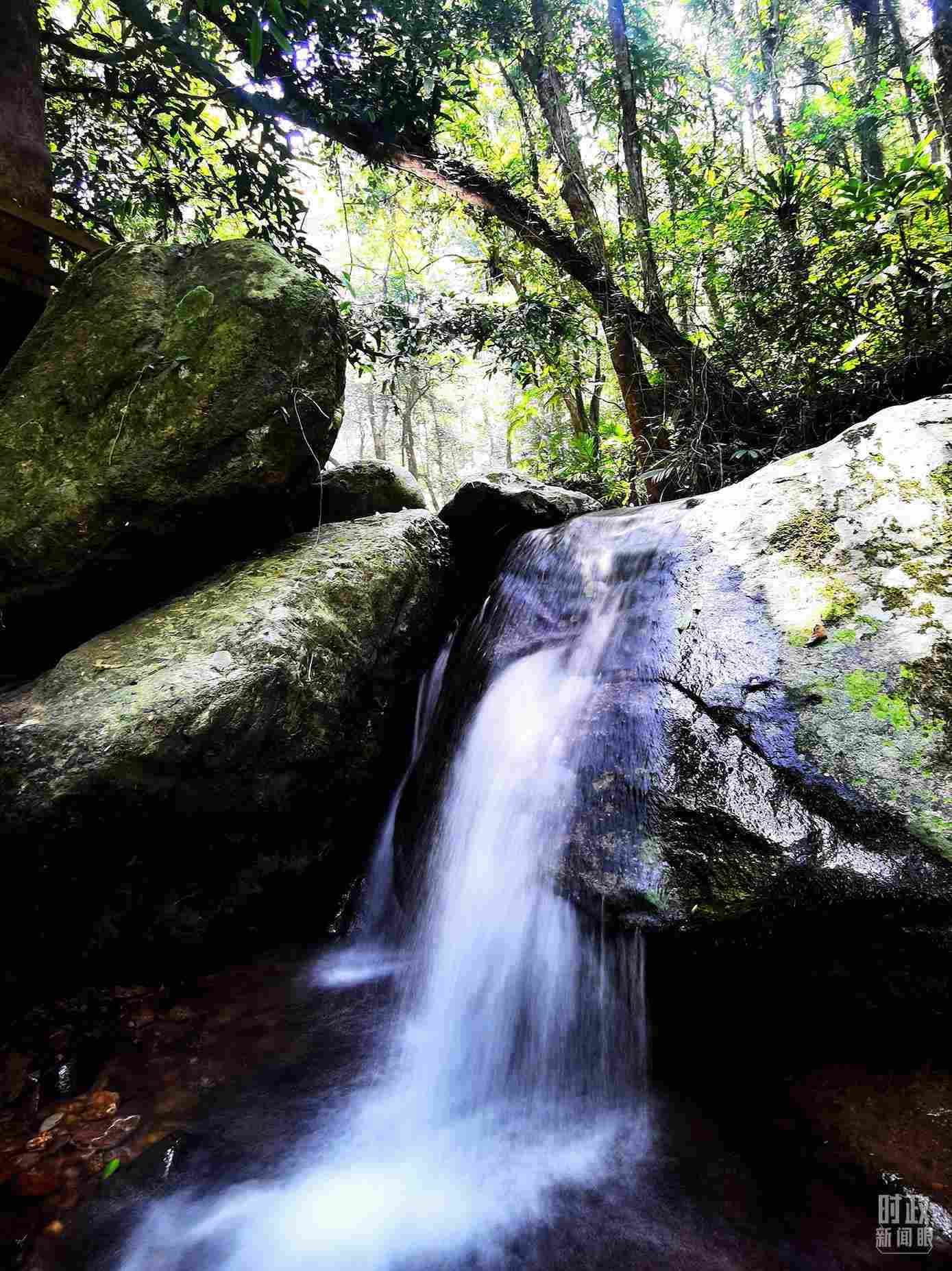 海南五指山。（總臺央視記者劉琦拍攝）