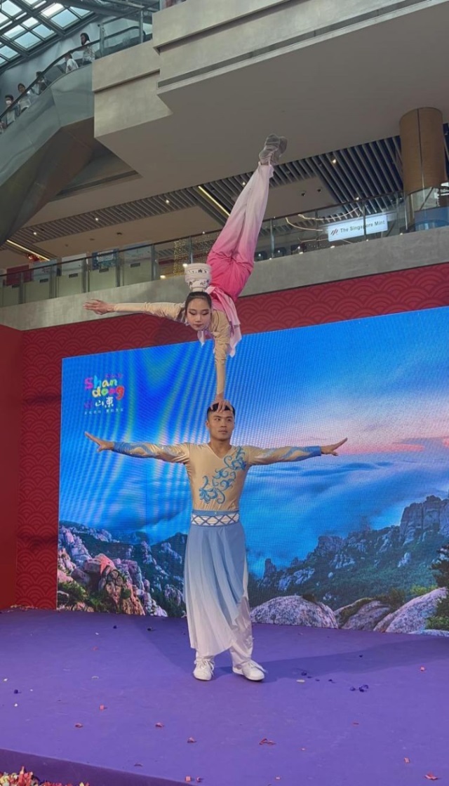 來自中國和新加坡的藝術團體聯(lián)袂表演了歌舞、器樂、武術、雜技等多種形式的文藝節(jié)目。活動主辦方供圖