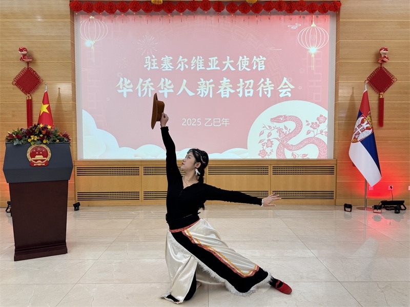 招待會(huì)現(xiàn)場表演。諾維薩德孔子學(xué)院供圖