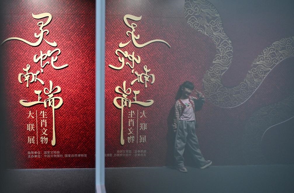 1月18日，一名小朋友在國家自然博物館舉辦的“靈蛇獻瑞——2025乙巳蛇年生肖文物大聯(lián)展”展覽中拍照留念。（新華社記者 陳鐘昊 攝）
