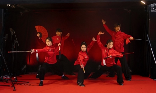 武術(shù)表演。中國(guó)駐芬蘭大使館供圖