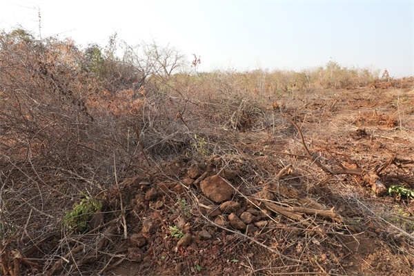 施工現(xiàn)場(chǎng)。張曉昆攝