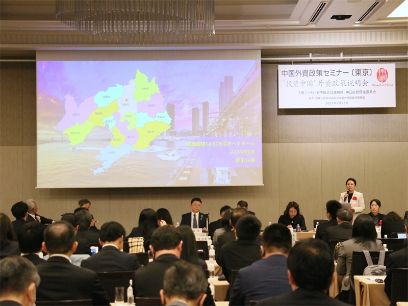 地方代表進(jìn)行專題投資推介。人民網(wǎng) 許可攝