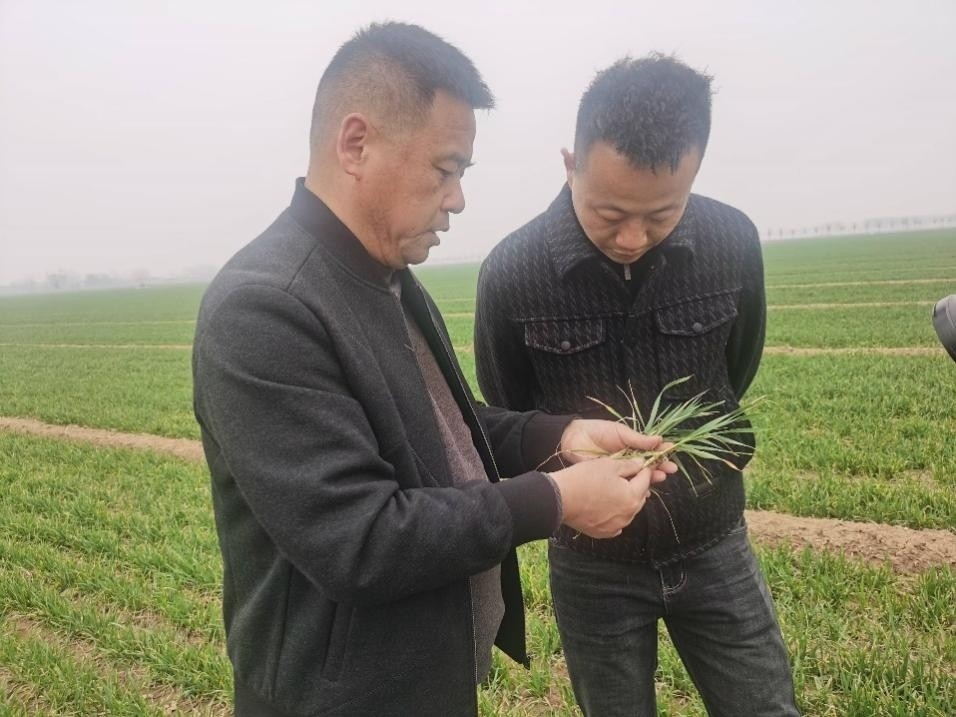 在山東濟(jì)寧汶上縣苑莊鎮(zhèn)，農(nóng)技員黃海龍對(duì)種糧大戶王振現(xiàn)場(chǎng)進(jìn)行春耕指導(dǎo)。人民網(wǎng)記者 車柯蒙攝