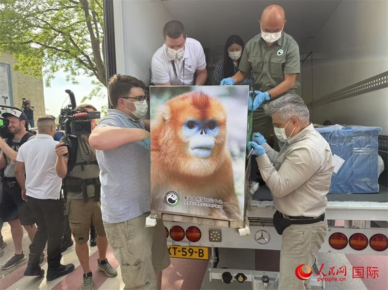 圖為活動(dòng)現(xiàn)場(chǎng)。人民網(wǎng)記者 牛瑞飛攝