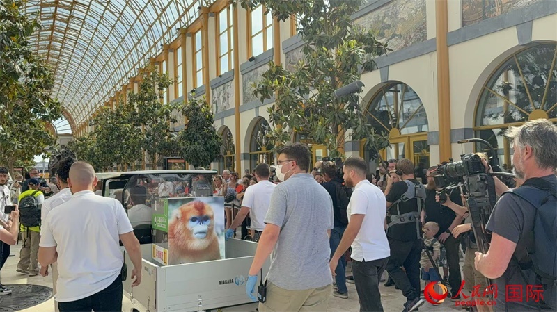 圖為活動(dòng)現(xiàn)場(chǎng)。人民網(wǎng)記者 牛瑞飛攝