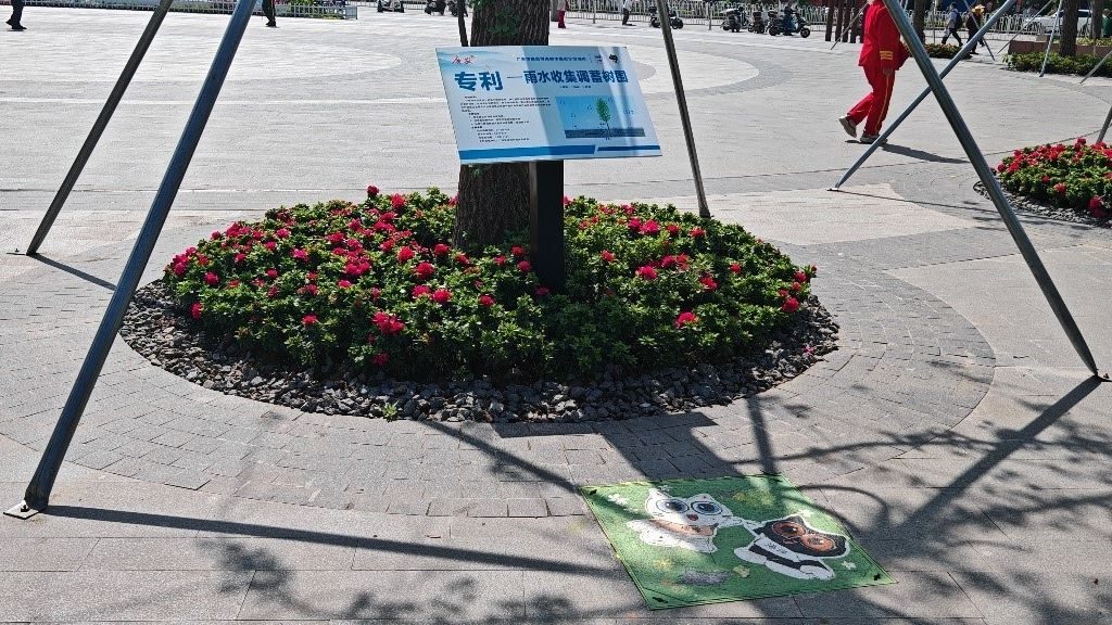 廣安“雨水收集調(diào)蓄樹(shù)池”，已在市內(nèi)公園落地運(yùn)用。受訪者供圖