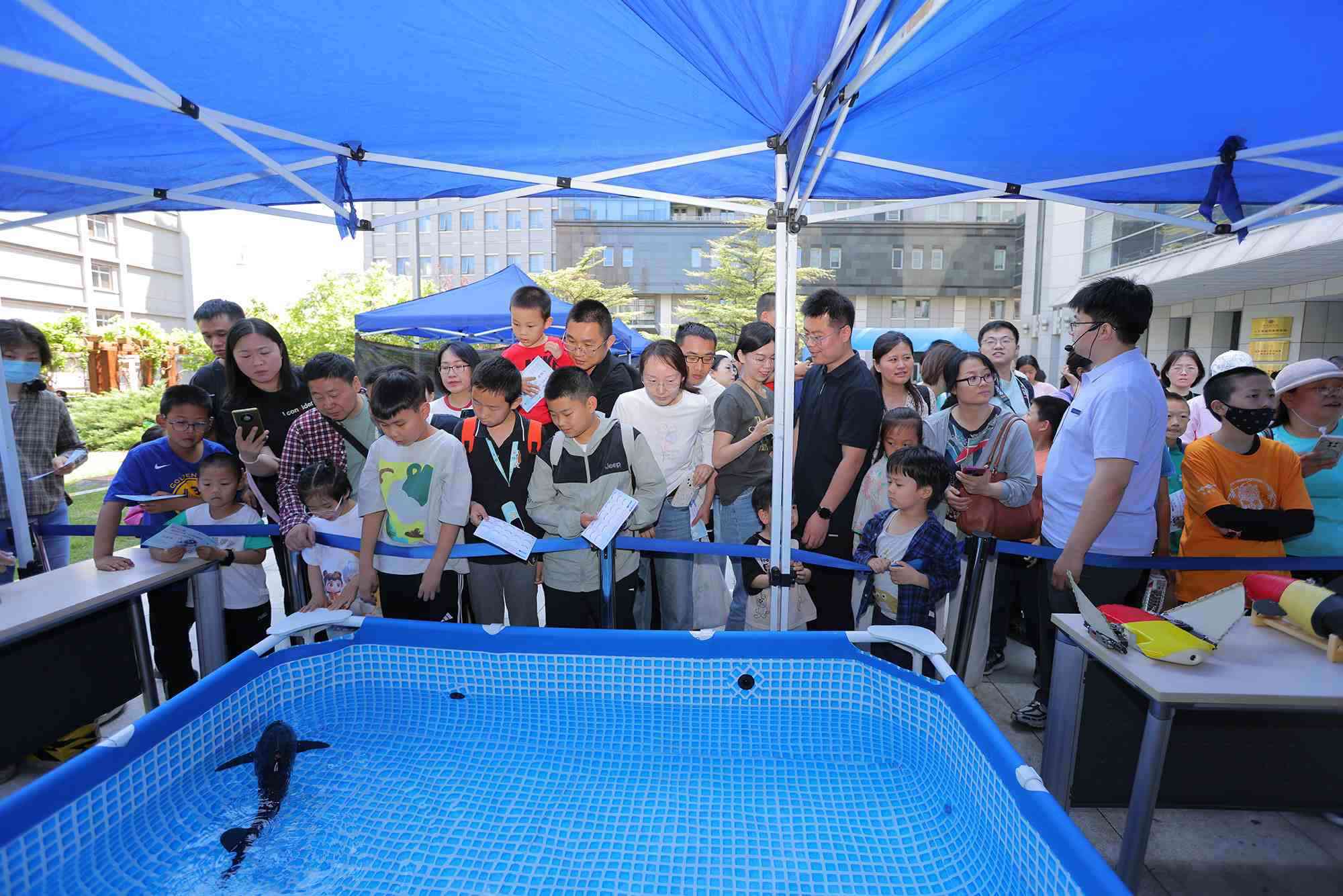 水下仿生機(jī)器魚在活動(dòng)現(xiàn)場(chǎng)大受歡迎。中國科學(xué)院自動(dòng)化研究所供圖