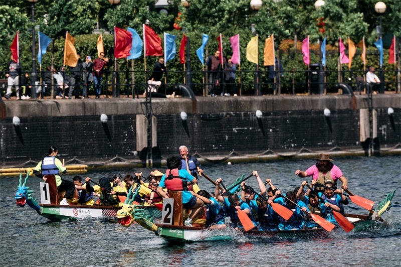 中英雙方的參賽隊(duì)伍參與龍舟競(jìng)渡。楊浩鵬攝